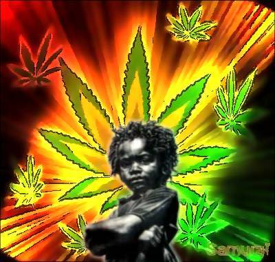  Rasta baby 